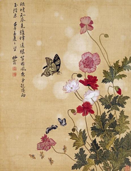 Ma Yuanyu / Corn Poppy and Butterflies 