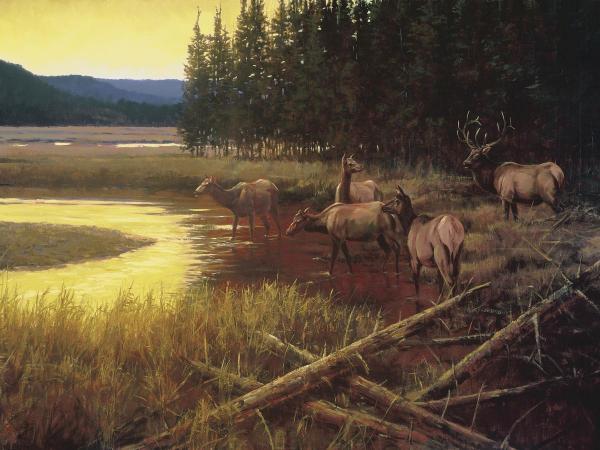 The Crossing    