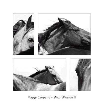 Wild Whispers II 