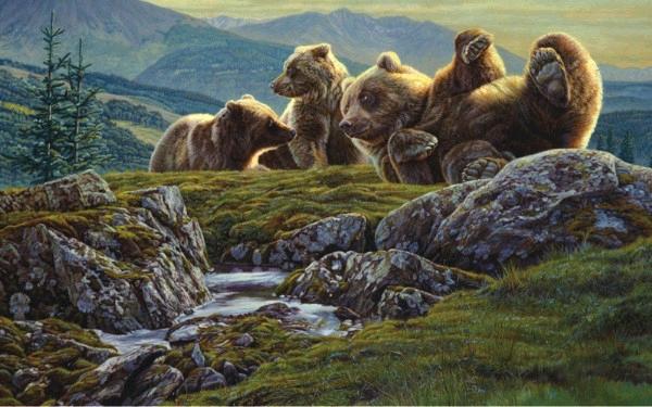 Above The Ridge