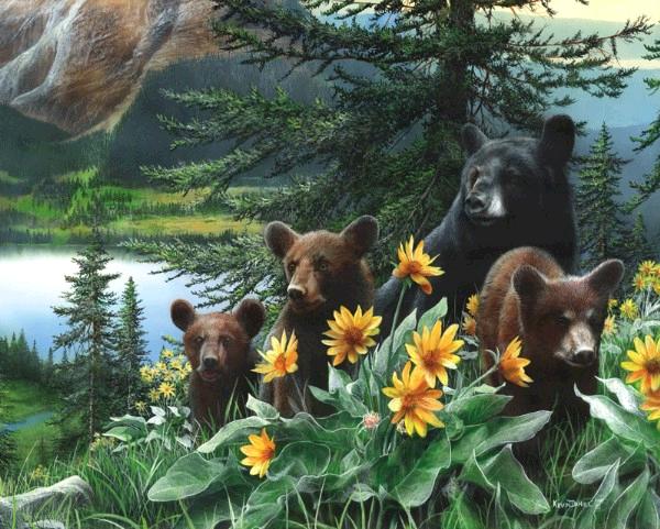Basking in Balsams