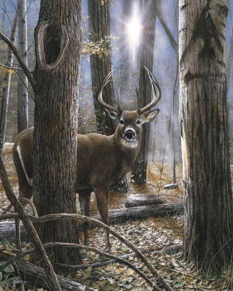 Woodland Sentry
